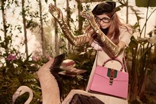 gucci flamongo|A flock of flamingos invades Gucci’s pre.